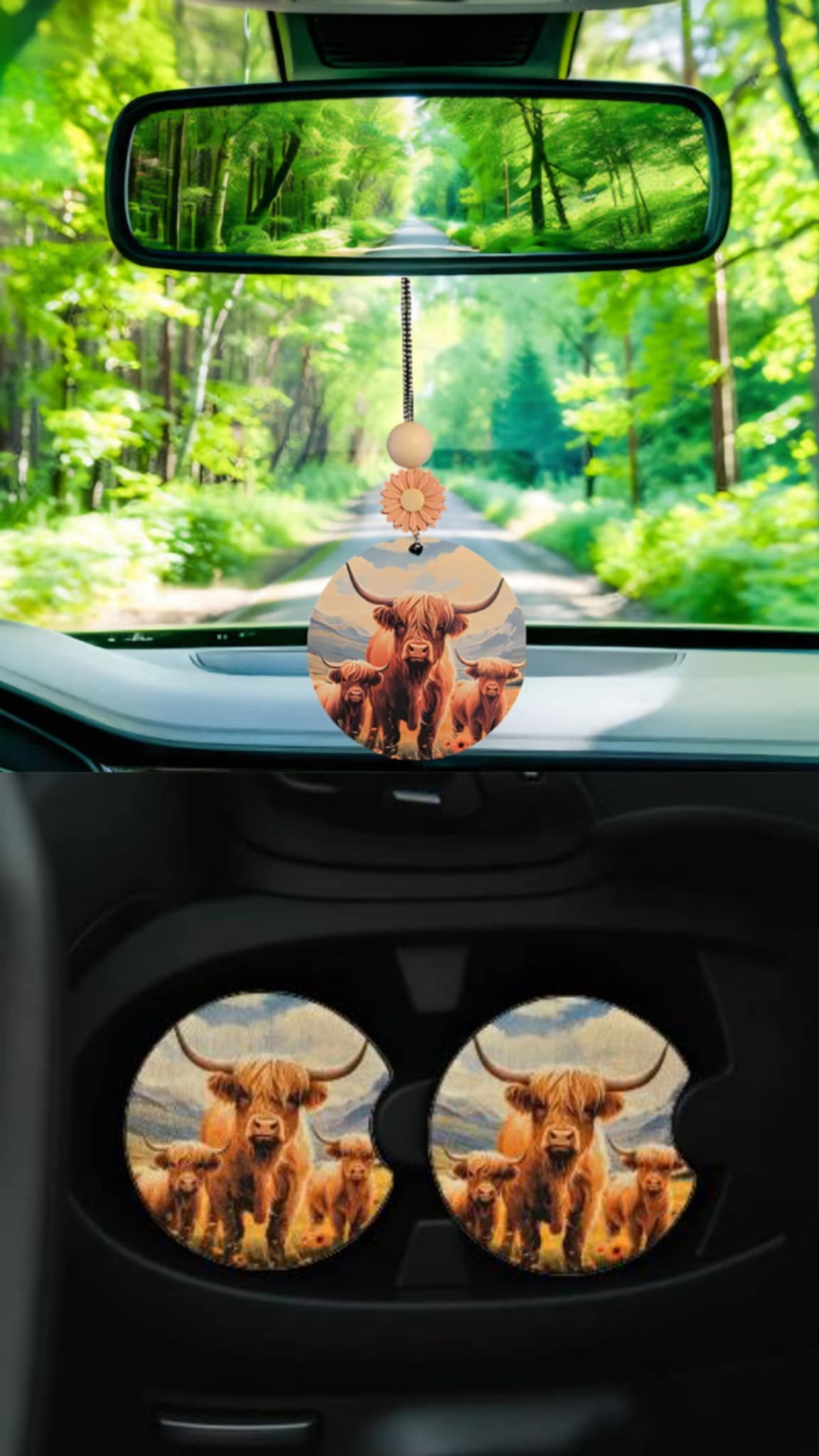 Highland Cow Family