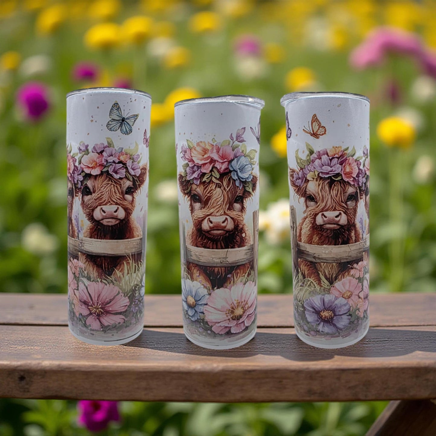 3 Cute Highland Cows