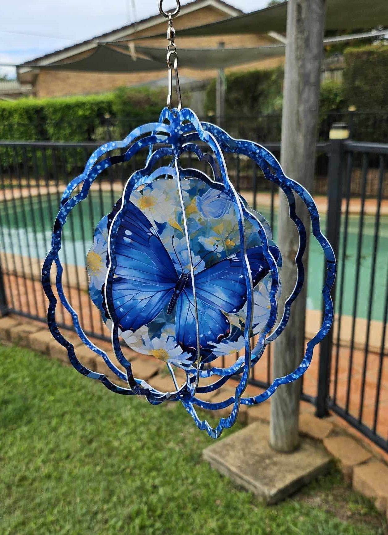 Blue Butterfly