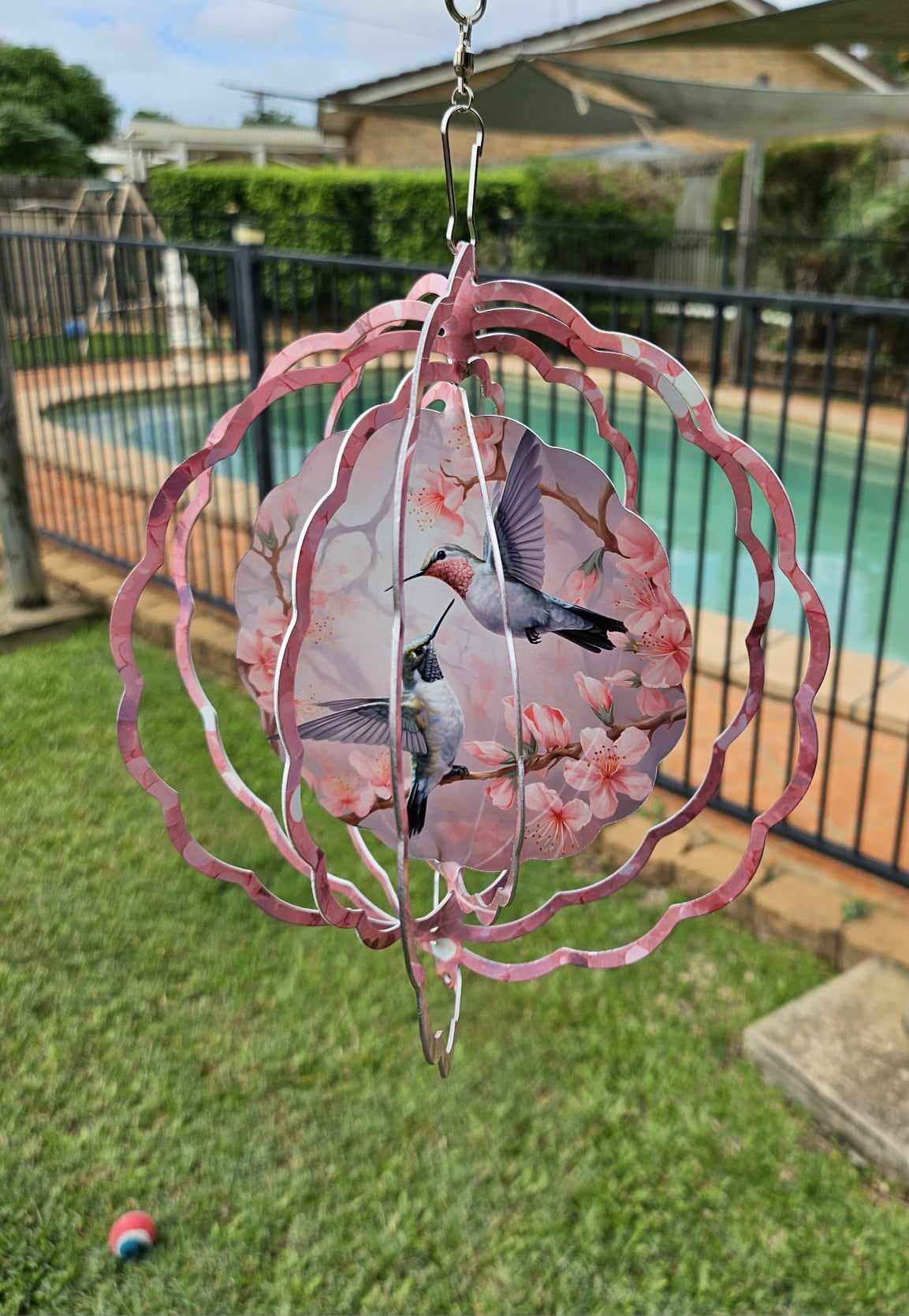 Humming Birds