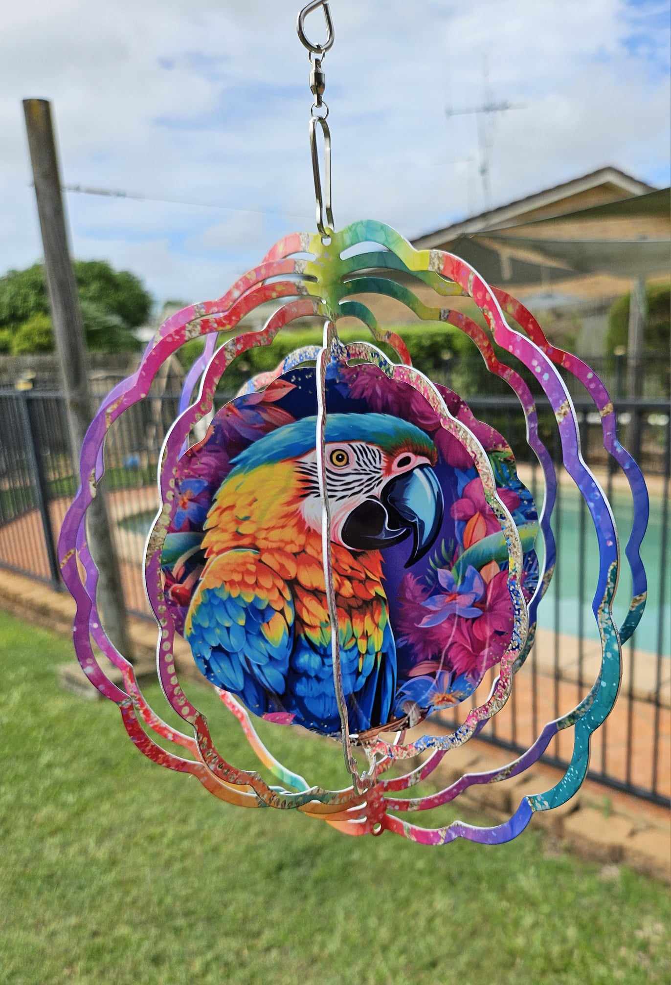 Colourful Parrot