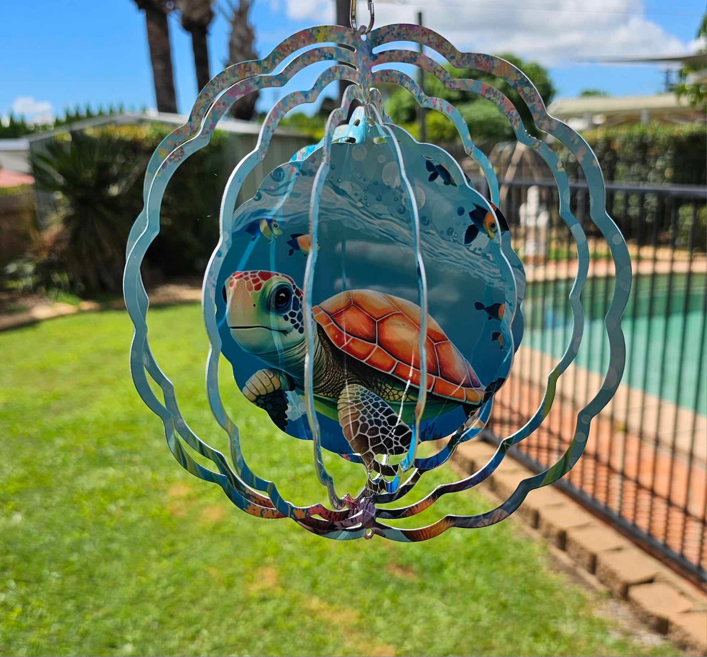 Cute Baby Turtle