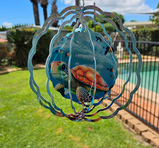 Cute Baby Turtle