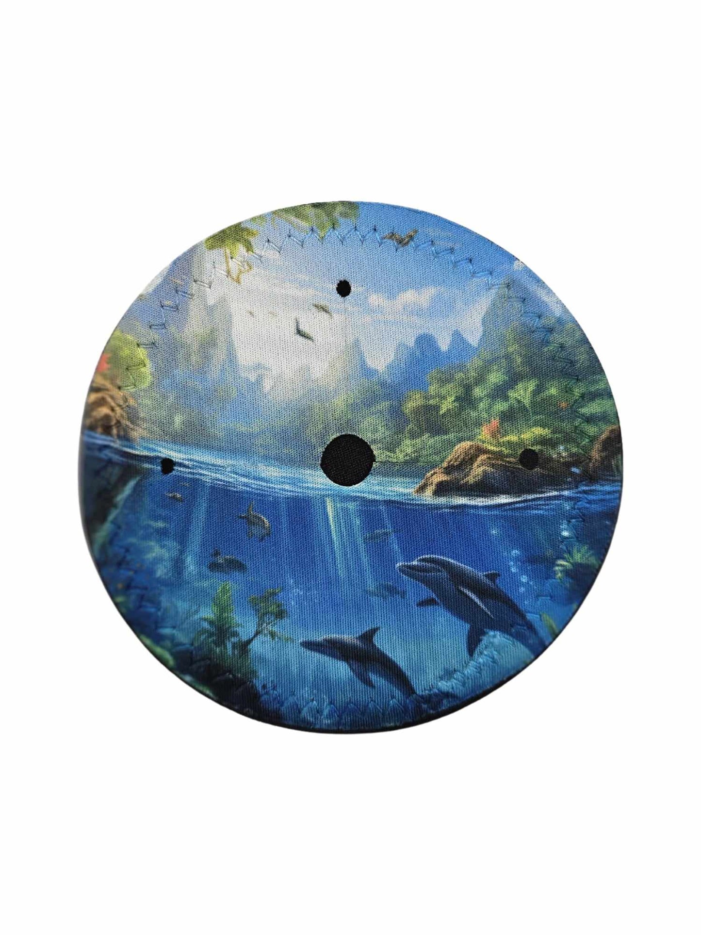 Dolphins Underwater