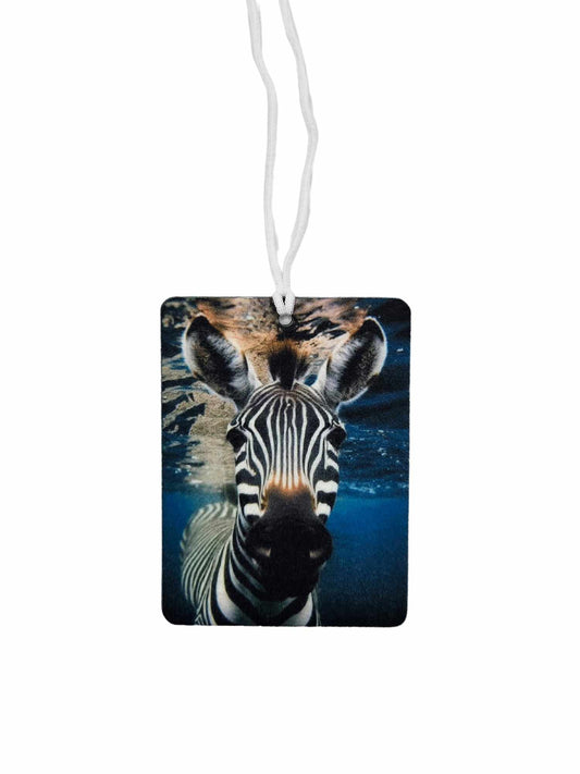Zebra in the water