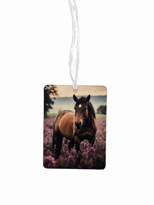 Horse in Purple flower field