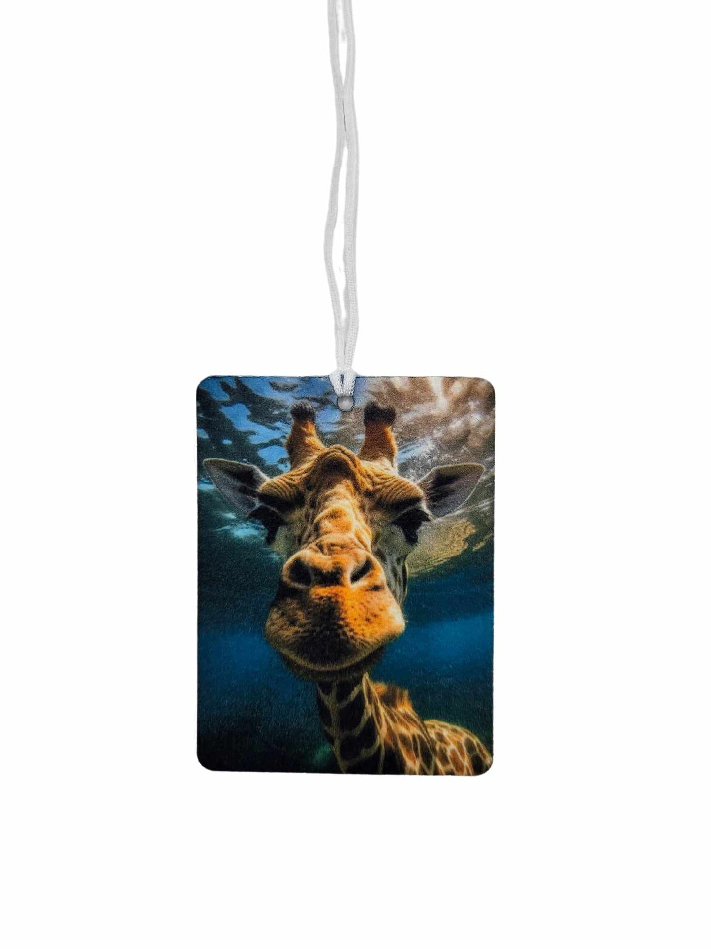 Giraffe in the water