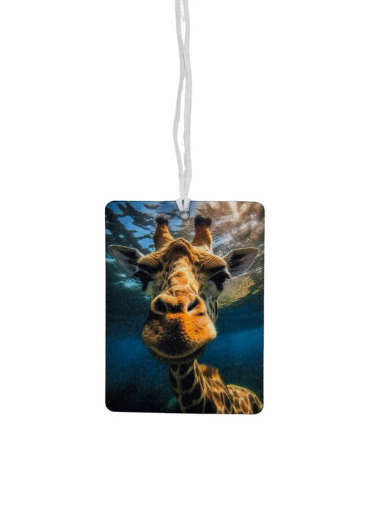 Giraffe in the water