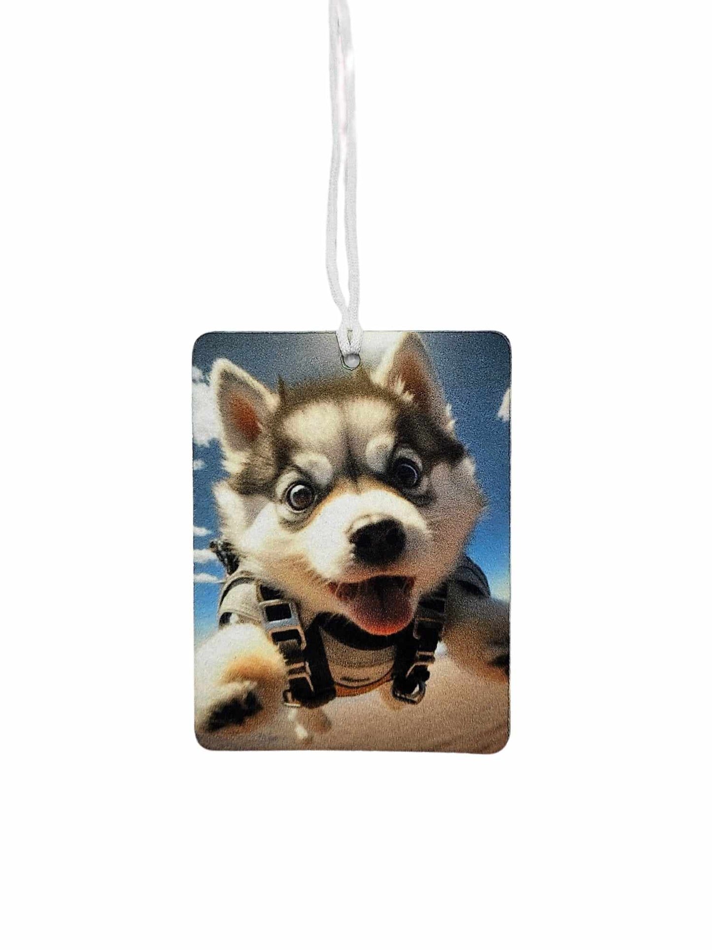 Cute Skydiving Husky