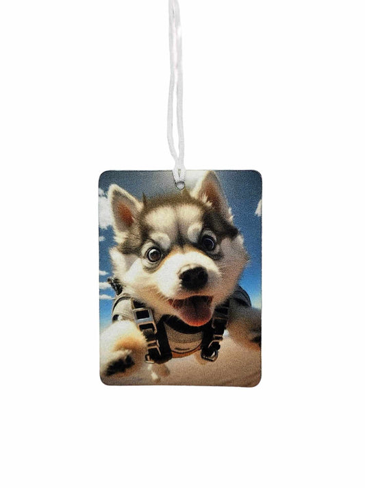 Cute Skydiving Husky
