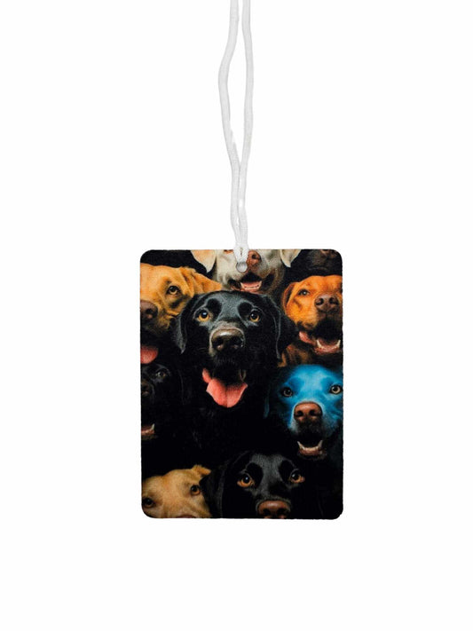 Colorful Dogs