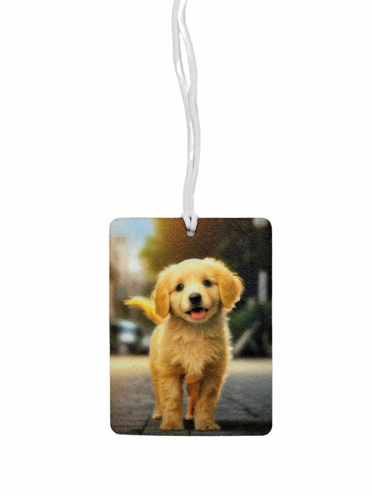 Cute Puppy