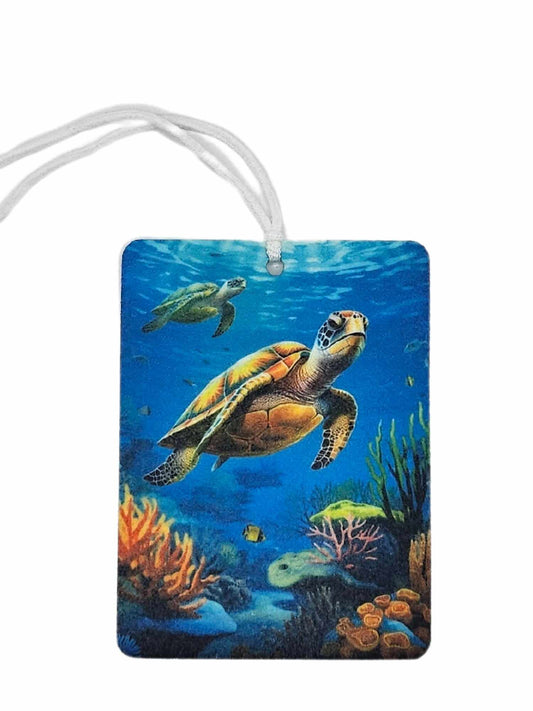 Turtle in the sea