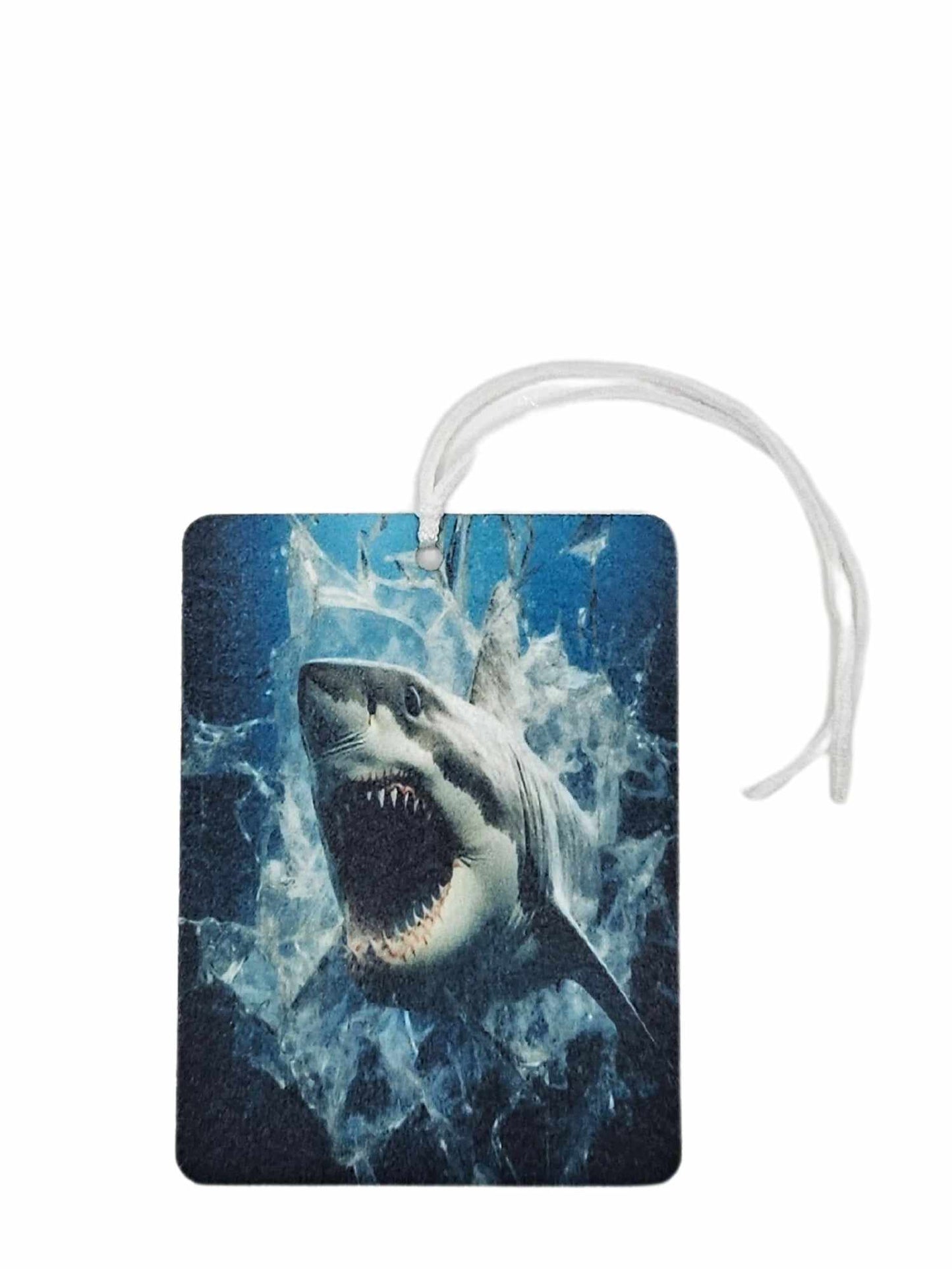Shark