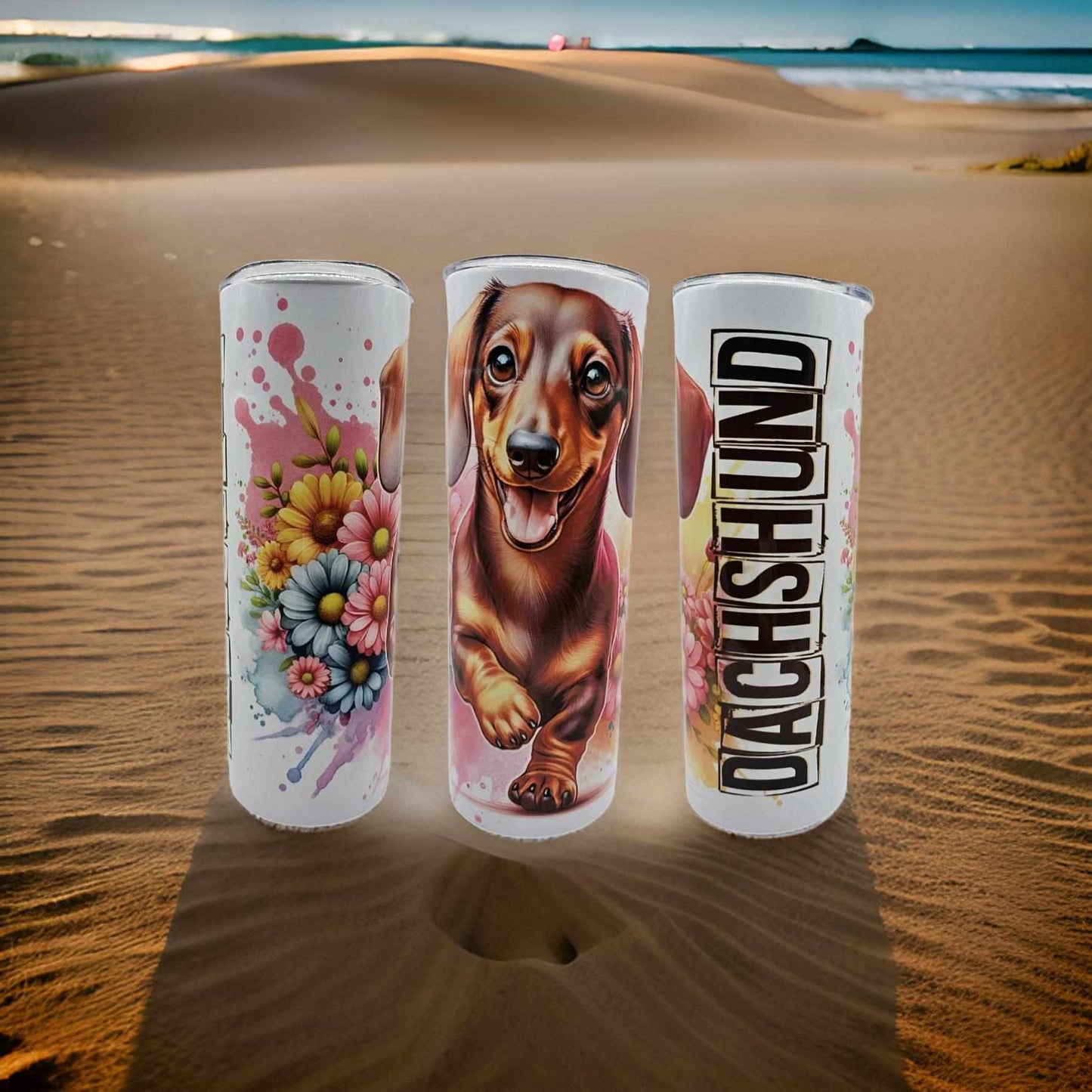 Dachshund