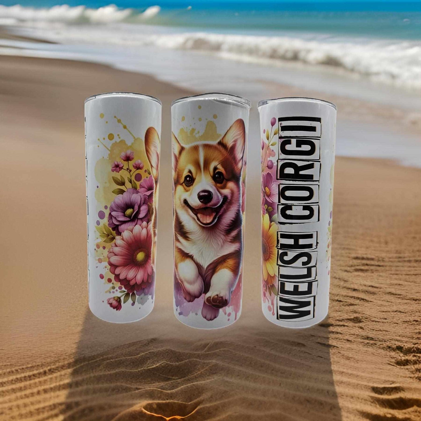 Welsh Corgi