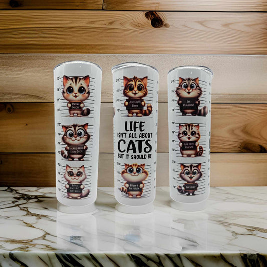 Life isn't all about CATS but it should be