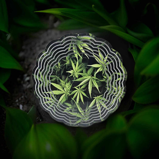 Marijuana