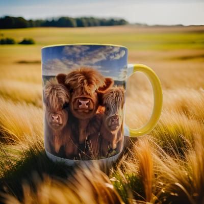 Highland cow Family