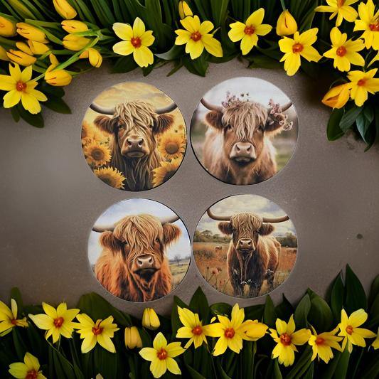 Highland Cows