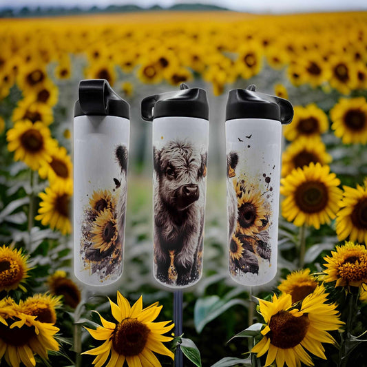 Highland cow and sunflowers