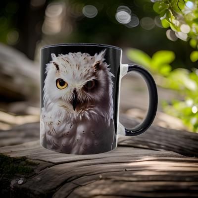 White Owl