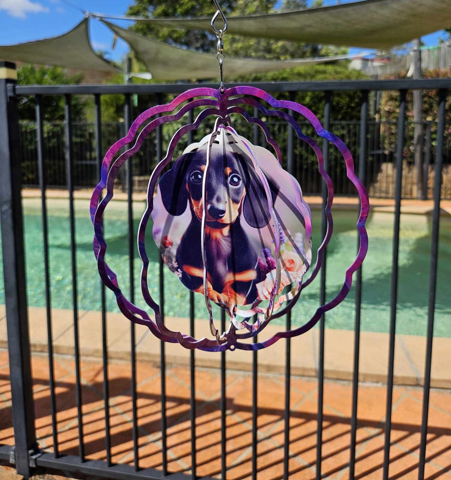 Black Dachshund