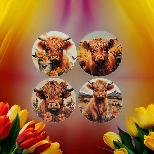 Highland Cow