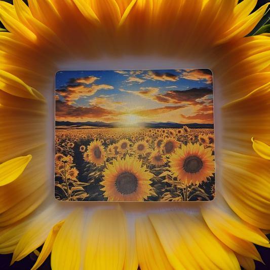 Sunflower Field