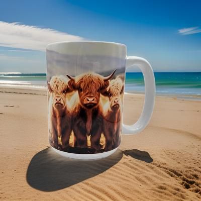3 Cute baby Highland Cows