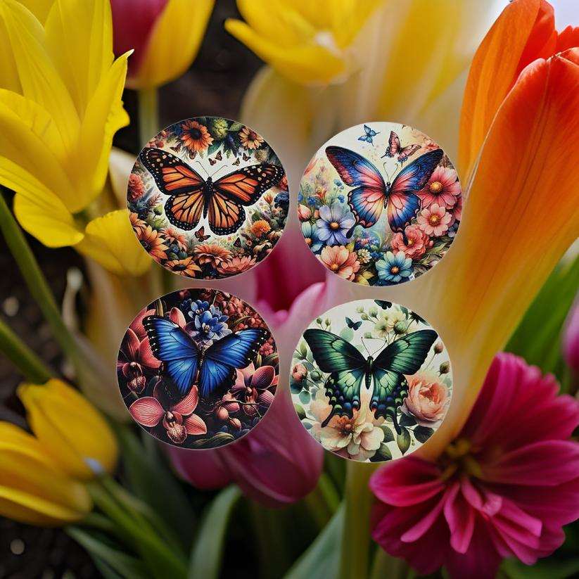 Beautiful Butterflies
