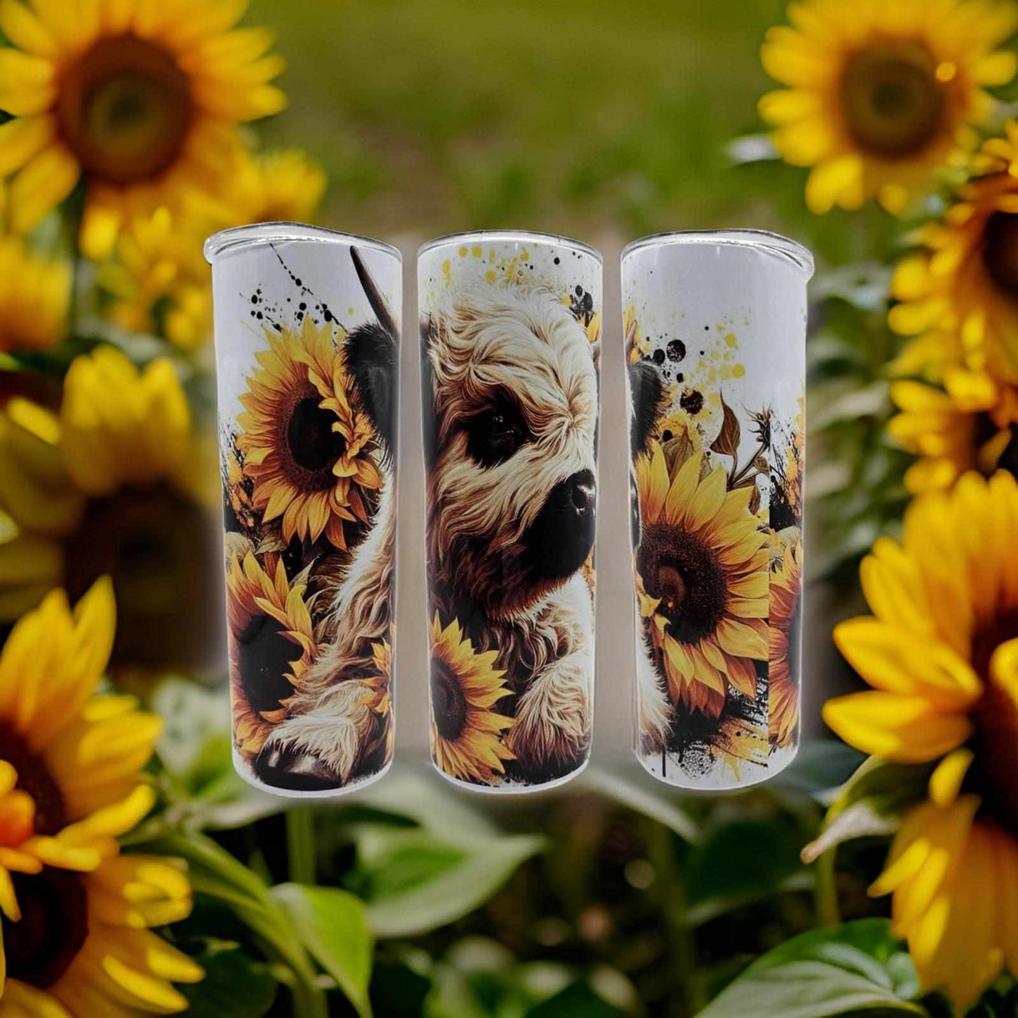 Highland cow and sunflowers