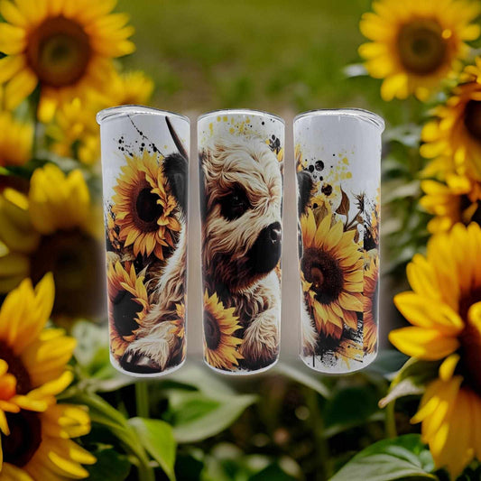 Highland cow and sunflowers