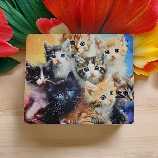 Kittens