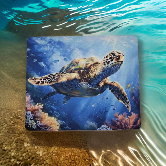 Turtle in the sea