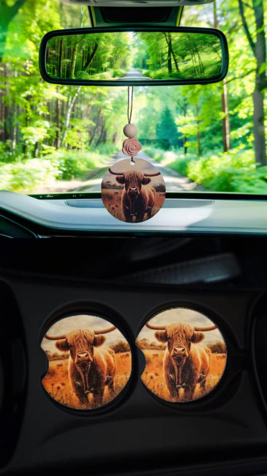 Highland Cow