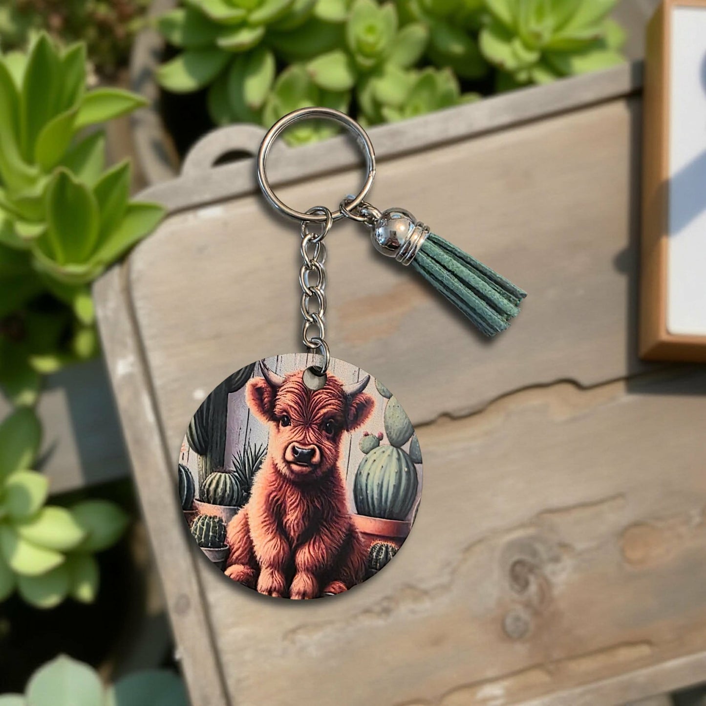 Highland cow with cactus plants