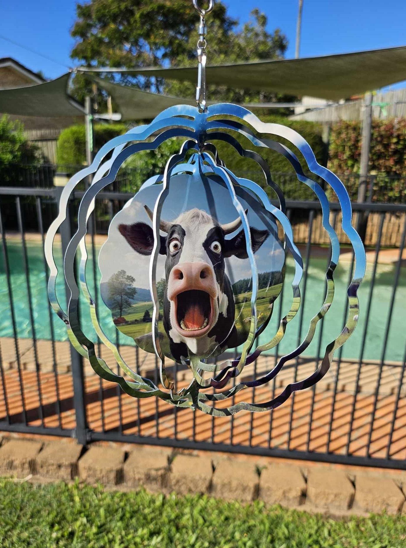 Surprised Cow