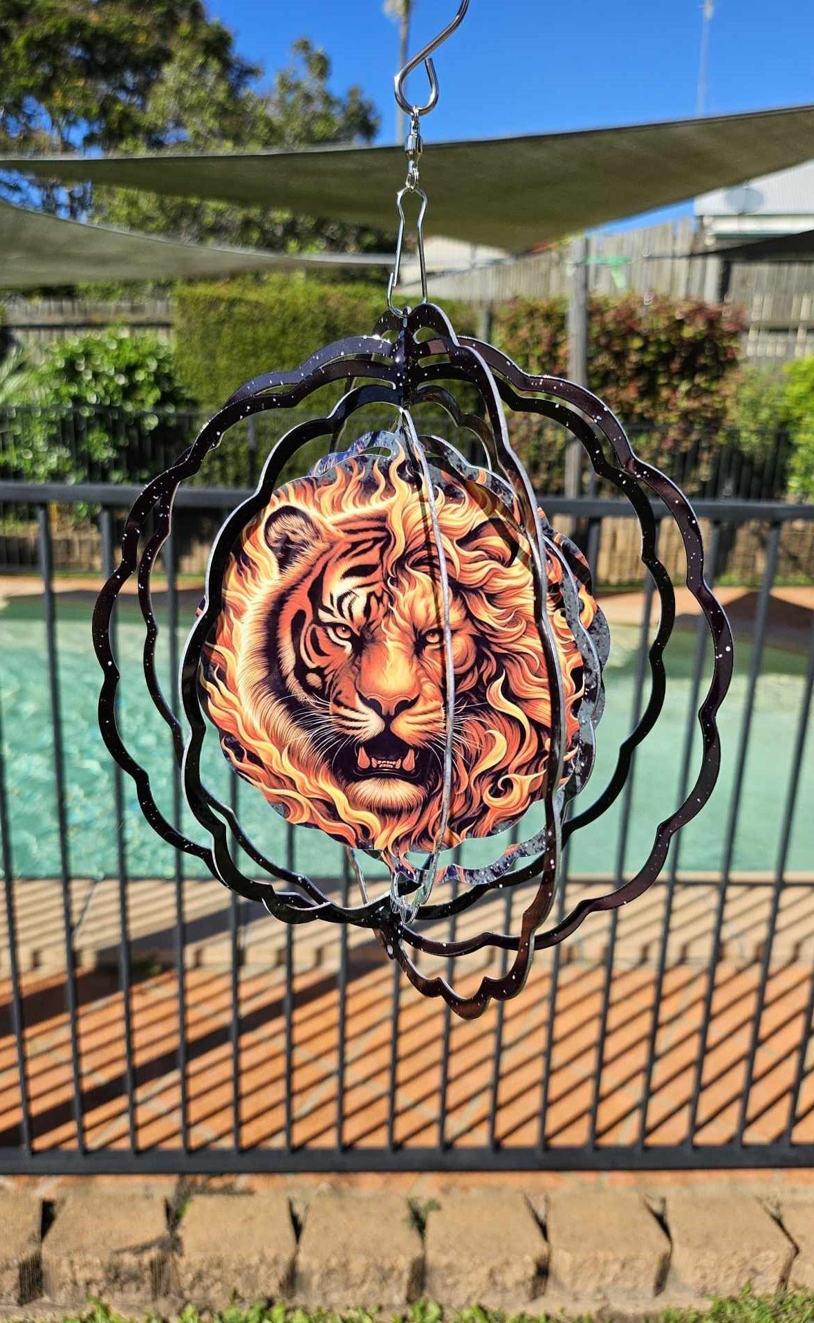 Tiger-Lion