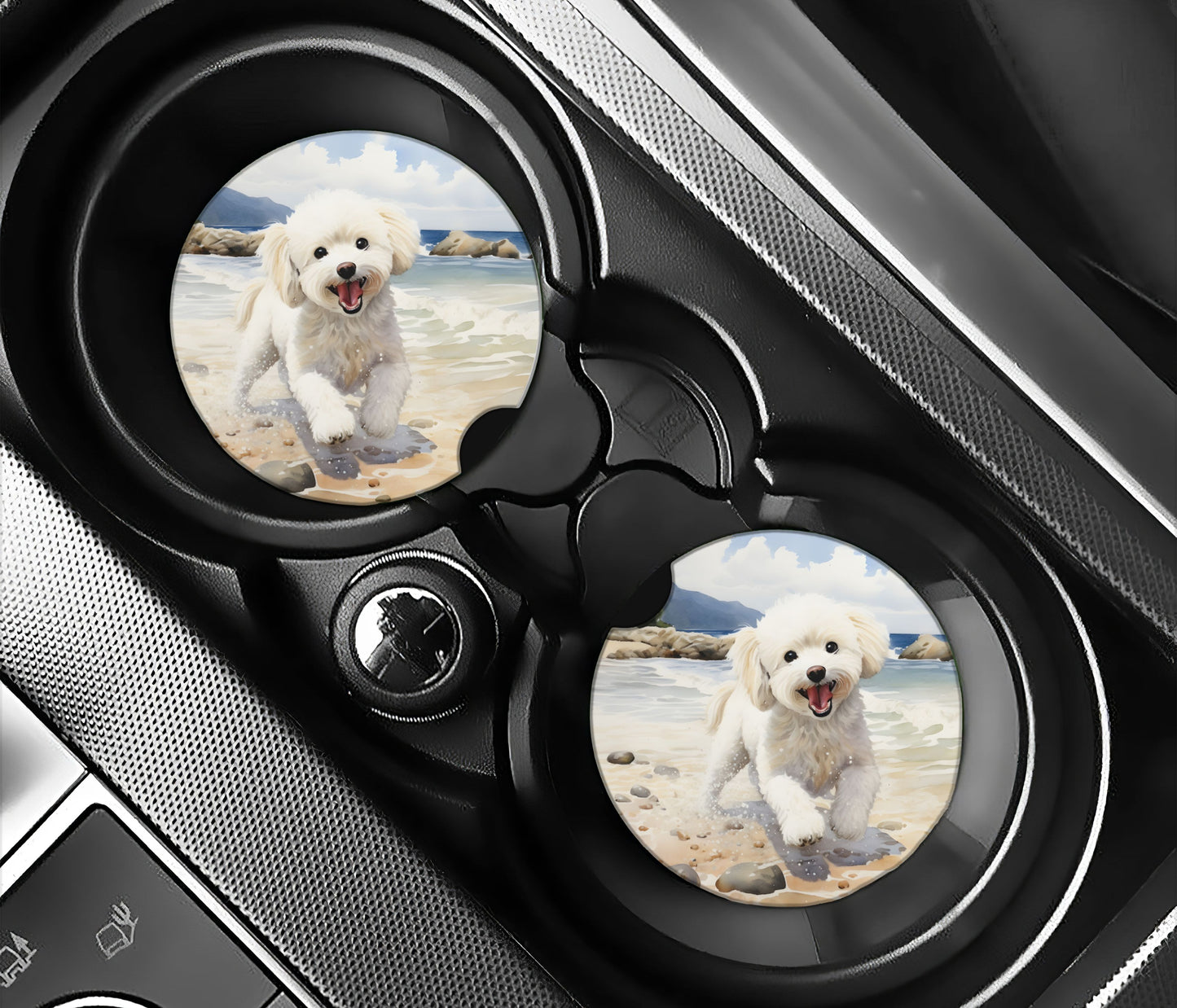 Bichon Frise on the Beach