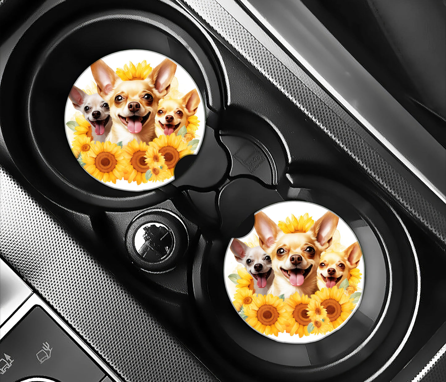 Sunflowers and Chihuahuas