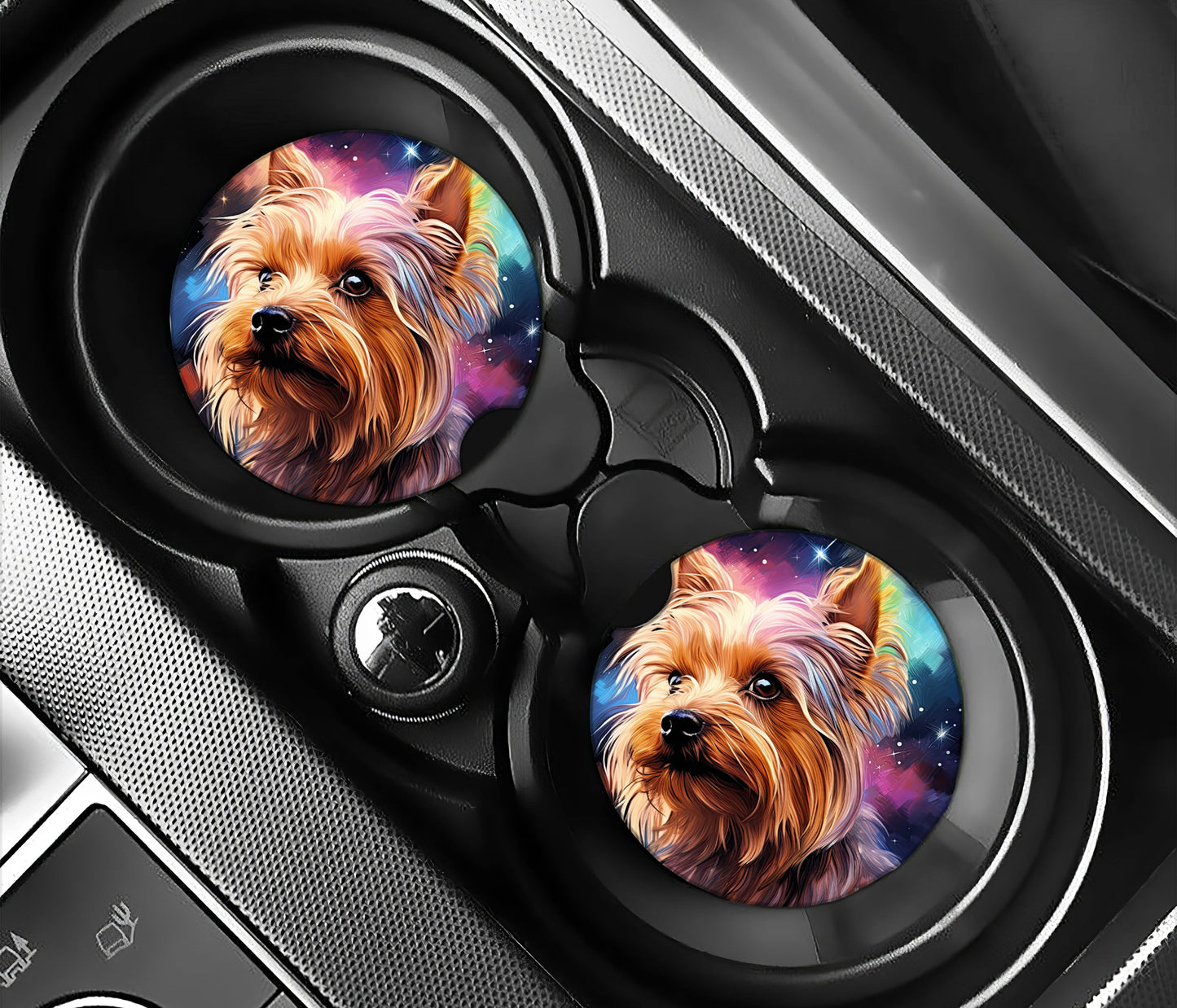 Galaxy Yorkshire Terrier