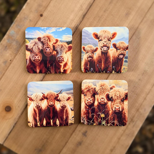 3 Cute Highland Cows