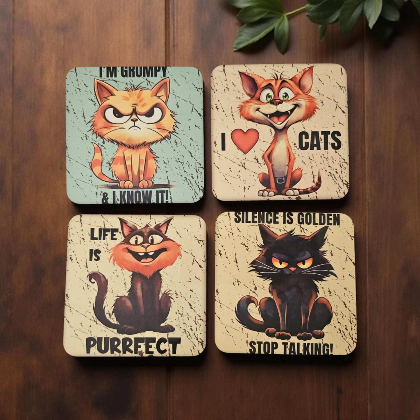 Cats NO.1