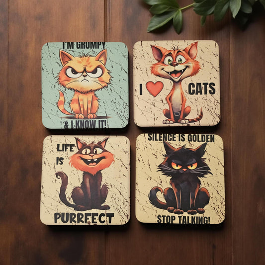 Cats NO.1