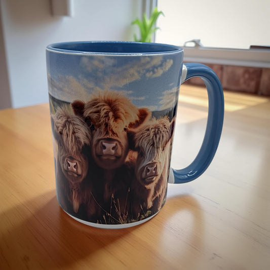 3 Cute highland cows