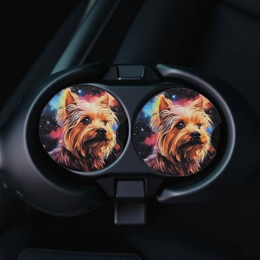Galaxy Yorkshire Terrier