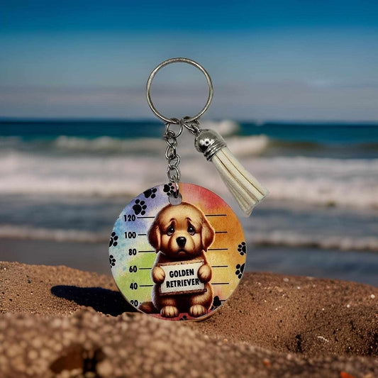 Jail - Golden Retriever