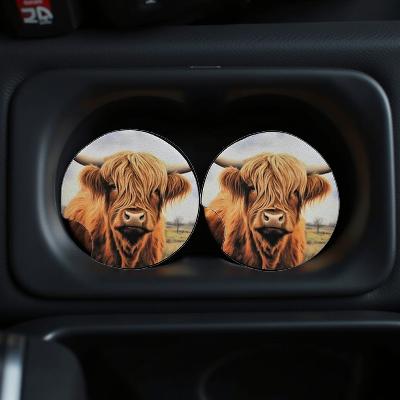 Highland cow