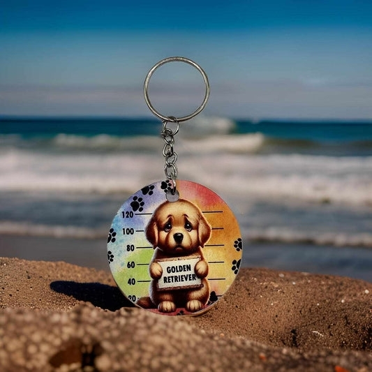 Jail - Golden Retriever